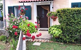 Holiday home Goga ruralna kuća